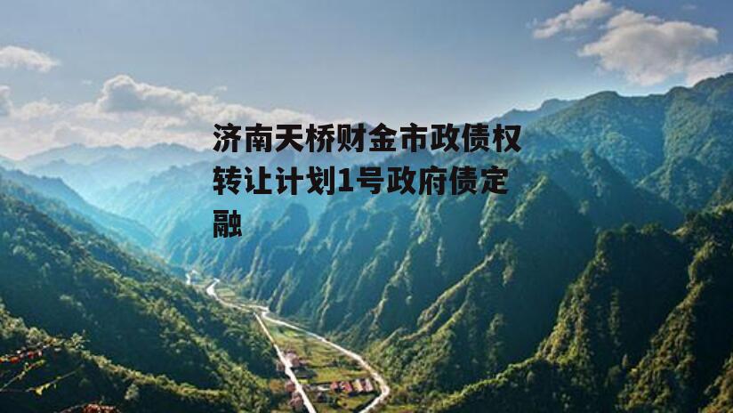 济南天桥财金市政债权转让计划1号政府债定融