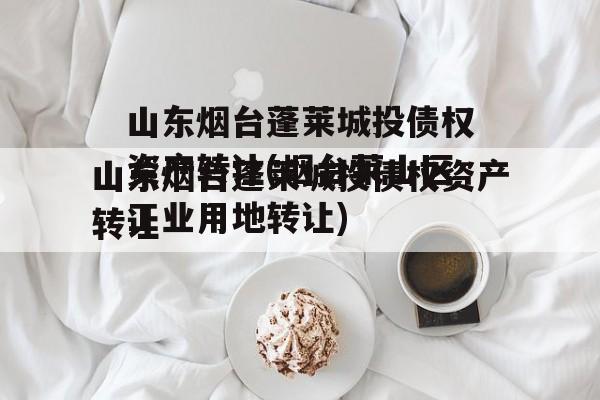 山东烟台蓬莱城投债权资产转让(烟台莱山区工业用地转让)