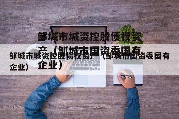 邹城市城资控股债权资产（邹城市国资委国有企业）