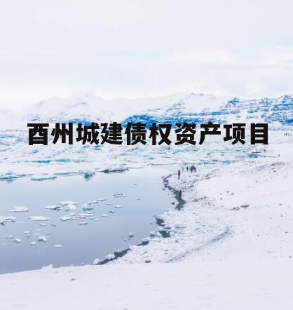 酉州城建债权资产项目