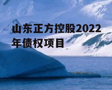 山东正方控股2022年债权项目