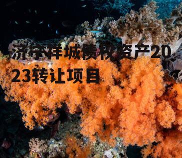 济宁祥城债权资产2023转让项目