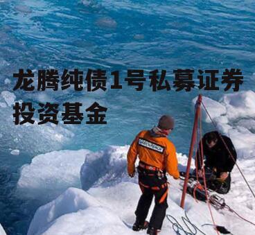 龙腾纯债1号私募证券投资基金