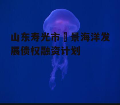 山东寿光市昇景海洋发展债权融资计划