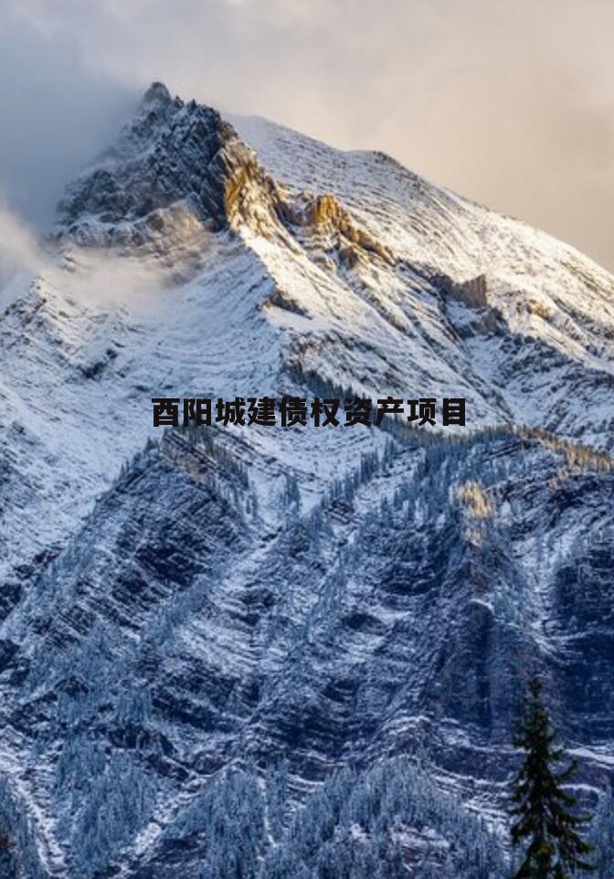 酉阳城建债权资产项目