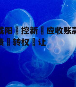 咸阳‮控新‬应收账款债‮转权‬让