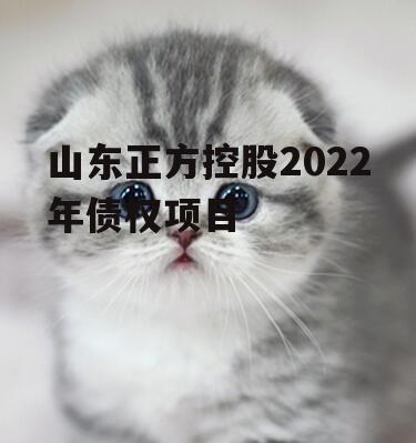 山东正方控股2022年债权项目