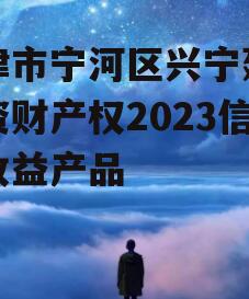 天津市宁河区兴宁建设投资财产权2023信托收益产品