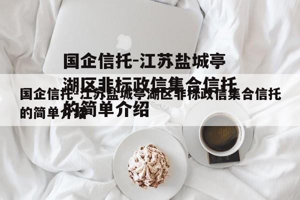 国企信托-江苏盐城亭湖区非标政信集合信托的简单介绍