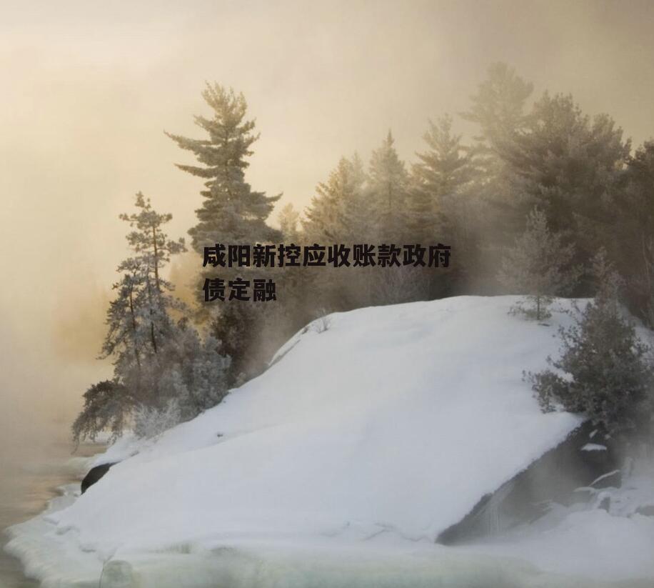 咸阳新控应收账款政府债定融