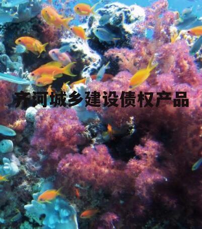 齐河城乡建设债权产品