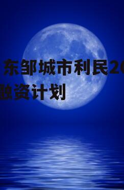 山东邹城市利民2022融资计划