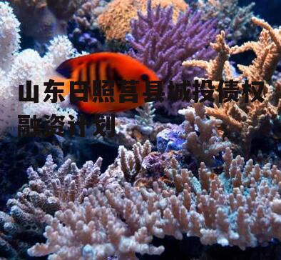 山东日照莒县城投债权融资计划