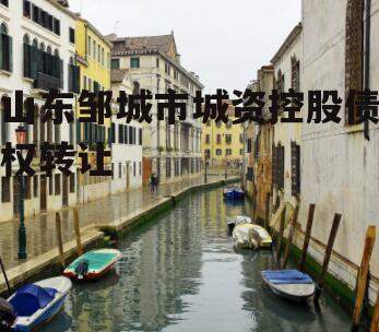 山东邹城市城资控股债权转让