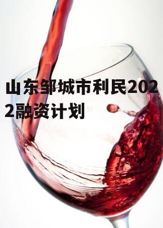 山东邹城市利民2022融资计划