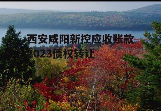 西安咸阳新控应收账款2023债权转让