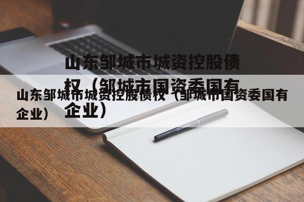 山东邹城市城资控股债权（邹城市国资委国有企业）