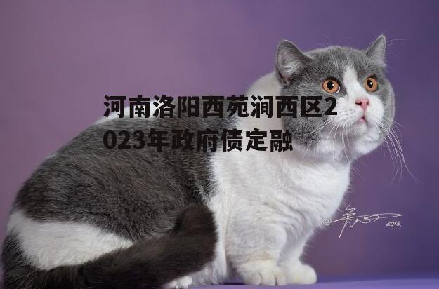 河南洛阳西苑涧西区2023年政府债定融