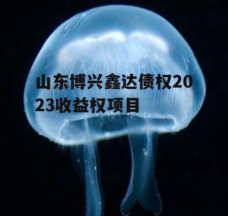 山东博兴鑫达债权2023收益权项目
