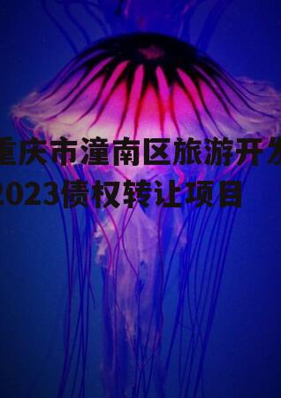 重庆市潼南区旅游开发2023债权转让项目