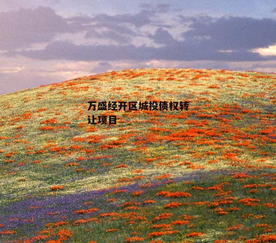 万盛经开区城投债权转让项目