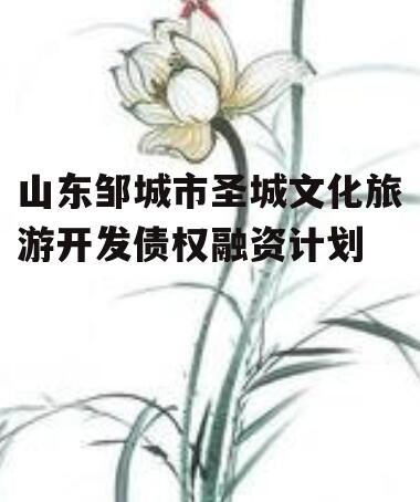 山东邹城市圣城文化旅游开发债权融资计划