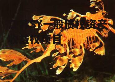 江苏SY一般债权资产收益权项目