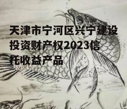 天津市宁河区兴宁建设投资财产权2023信托收益产品