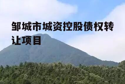 邹城市城资控股债权转让项目