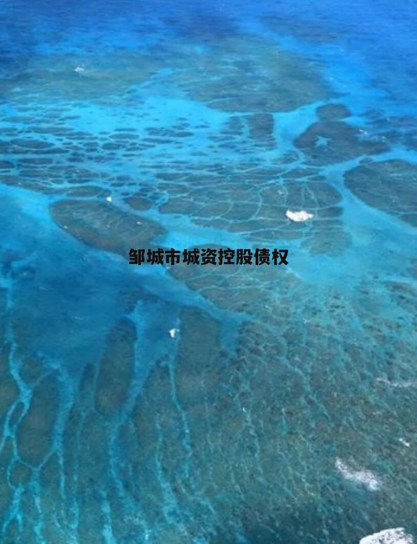 邹城市城资控股债权
