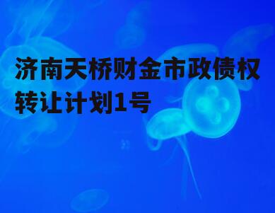 济南天桥财金市政债权转让计划1号