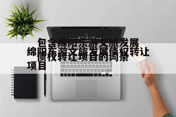 包含绵阳东游文旅发展债权转让项目的词条