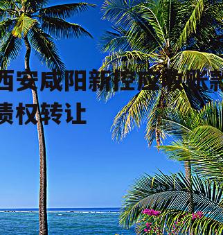 西安咸阳新控应收账款债权转让