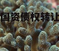 融锋国资债权转让计划