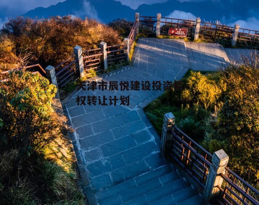 天津市辰悦建设投资债权转让计划