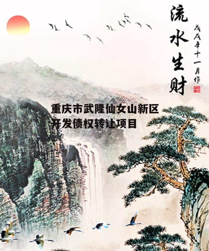 重庆市武隆仙女山新区开发债权转让项目