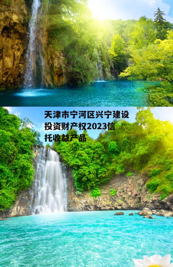 天津市宁河区兴宁建设投资财产权2023信托收益产品