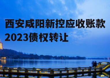 西安咸阳新控应收账款2023债权转让