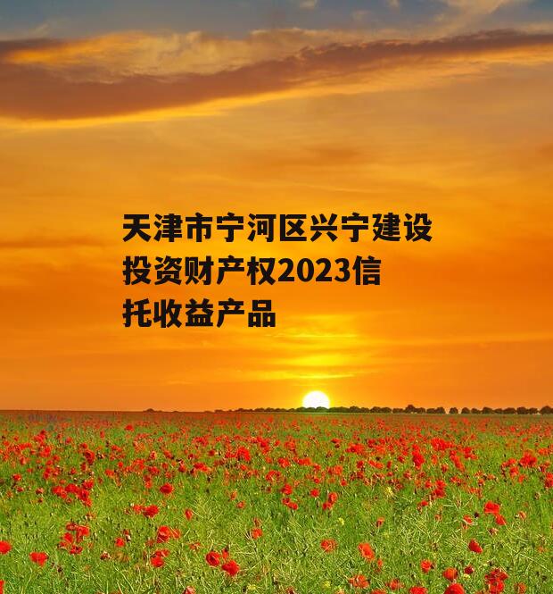 天津市宁河区兴宁建设投资财产权2023信托收益产品