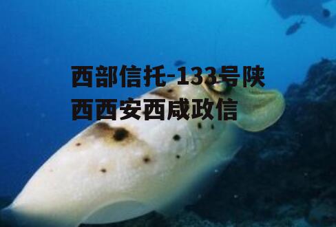 西部信托-133号陕西西安西咸政信