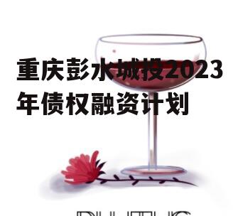 重庆彭水城投2023年债权融资计划