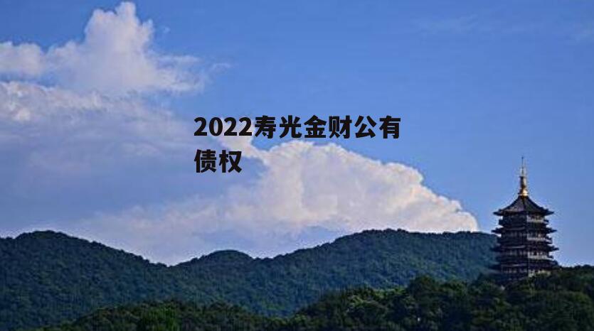 2022寿光金财公有债权