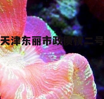 天津东丽市政债权二号