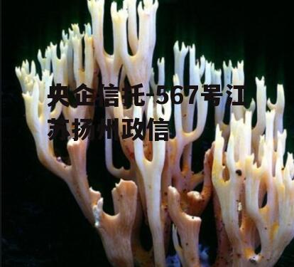 央企信托-567号江苏扬州政信