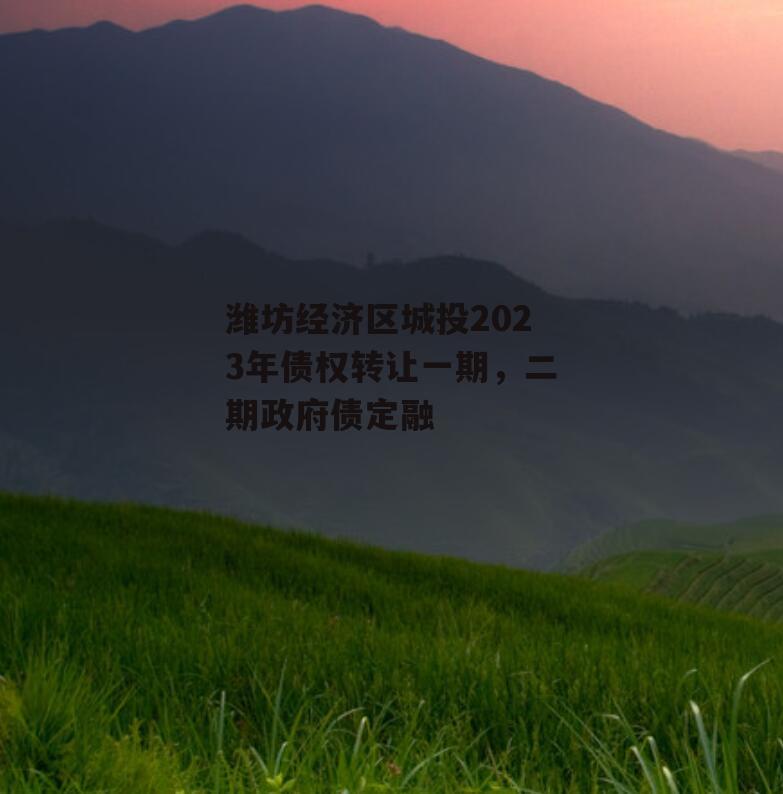 潍坊经济区城投2023年债权转让一期，二期政府债定融