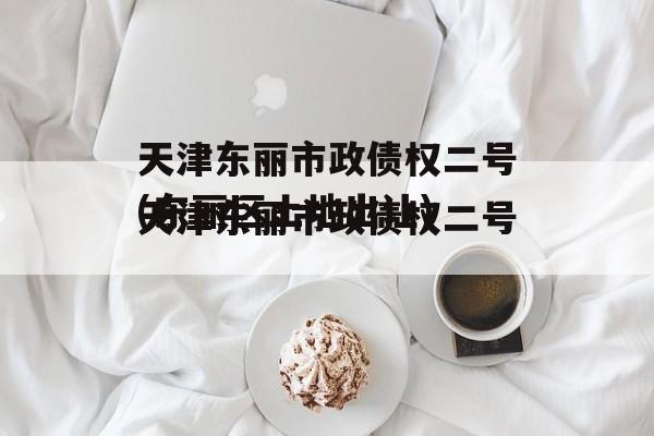 天津东丽市政债权二号(东丽区土地出让)