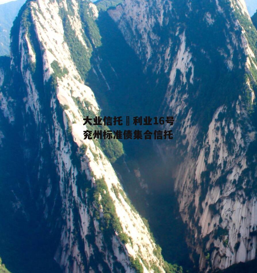 大业信托–利业16号兖州标准债集合信托