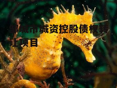 邹城市城资控股债权转让项目
