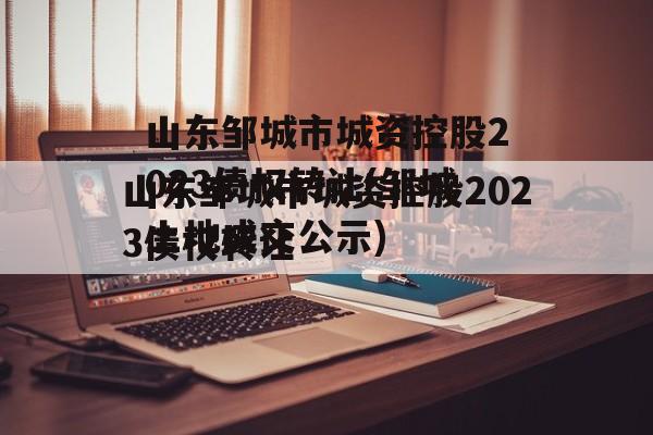 山东邹城市城资控股2023债权转让(邹城土地成交公示)