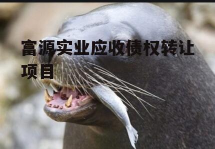 富源实业应收债权转让项目